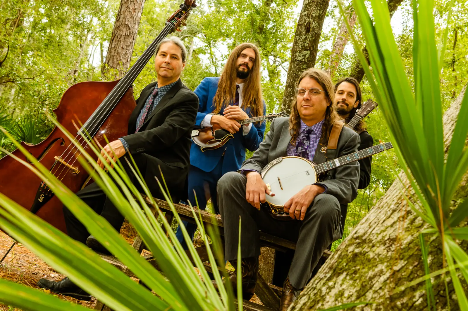 Henhouse Prowlers return to Rotterdam Bluegrass Festival this year