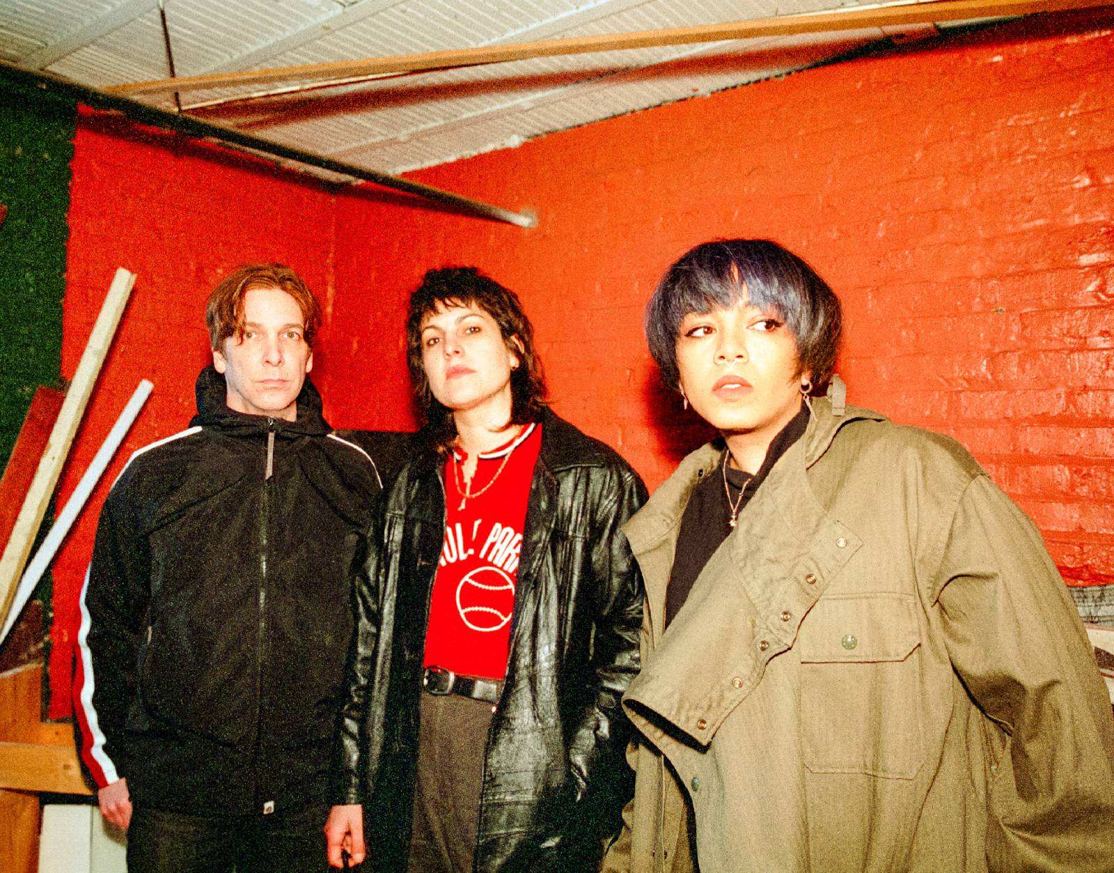 Ganser over with "Animal Hospital" to play Vera, Groningen