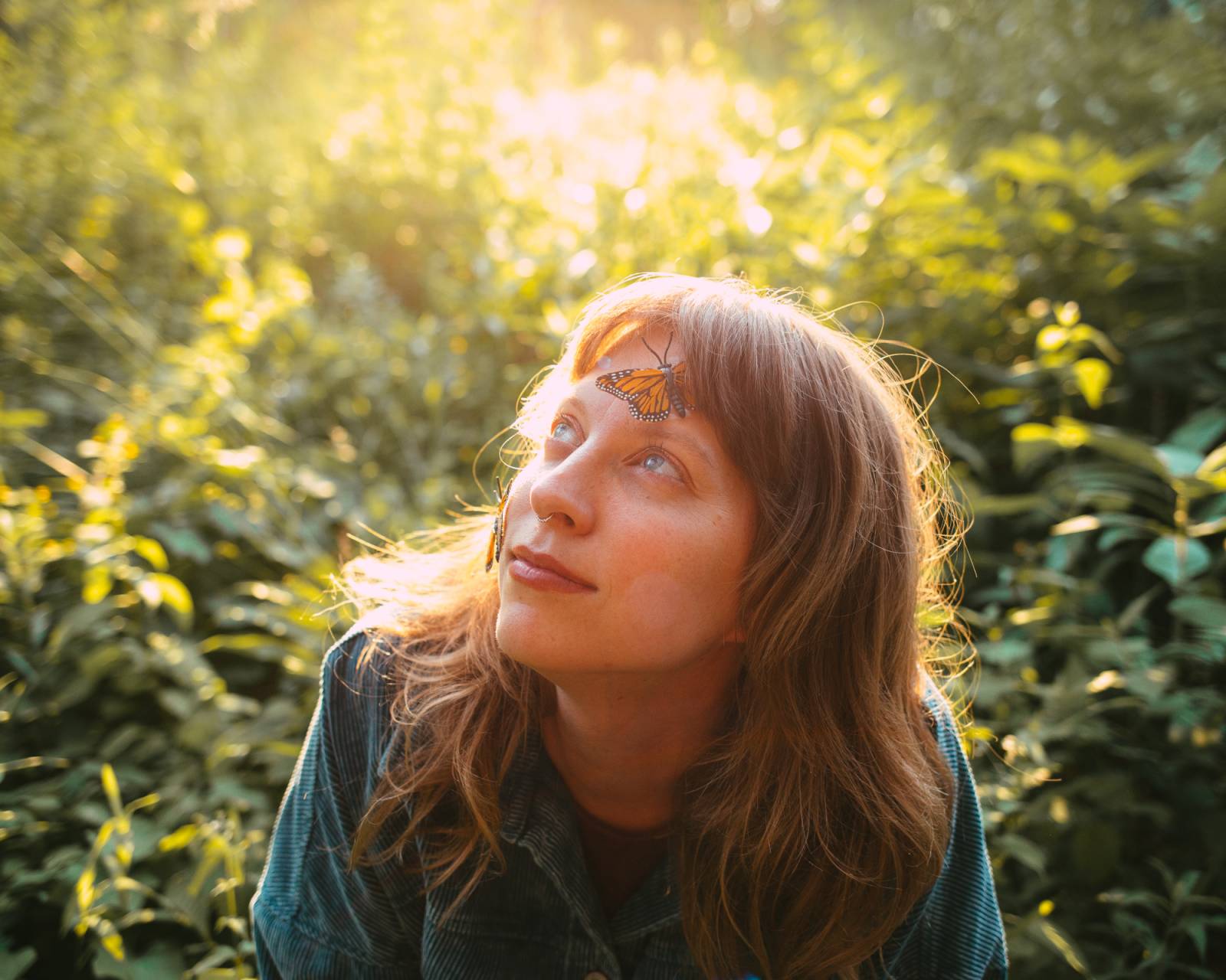 Humbird debuts in the Benelux with "Astrovan: The Love Song Vignettes"