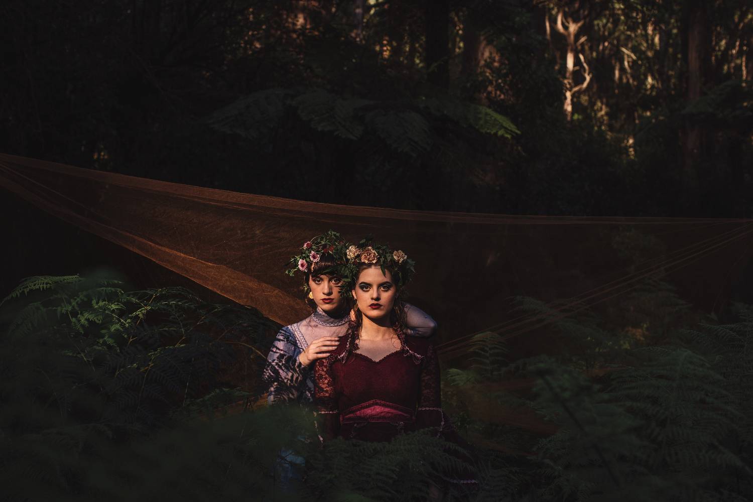 Charm of Finches tour Europe in May 2022 with "Wonderful Oblivion"